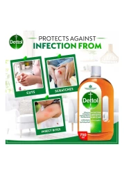 Dettol Anti-Bacterial Antiseptic Disinfectant 750ml