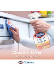 Clorox Scentiva Multi-Surface Cleaner Madagascar Citrus Grove 500ml Pack of 2