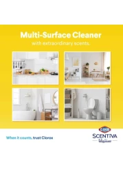 Clorox Scentiva Multi Surface Spray Cleaner Madagascar Citrus Grove 500ml