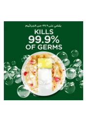 Jif Anti Bacterial Dishwash Mint and Lemon 670ml Pack of 2