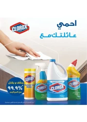 كلوركس سائل تنظيف و تبييض برائحة أصلية 1.89 لتر حزمة من 2