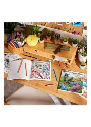 Crayola Birdwatching Colouring Book 40 Pages 1133