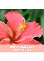 Hawaiian TropicSunless Tan 1 Hr Express SelfTanning Foam 7oz Express Tan 1 Hour Self Tanner Sunless Tanner Sunless Tanning Foam 7oz