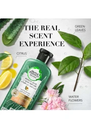 Herbal Essences Sulfate-Free Potent Aloe + Avocado Oil Hair Conditioner 400ml