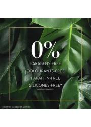 هربال إيسنسيز شامبو بيو رينيو لتكثيف الشعر بفاكهة البن العربي 400 ملل