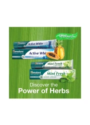 Himalaya Mint Fresh Herbal Toothpaste White 125g
