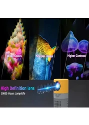 Borrego Mini Projector