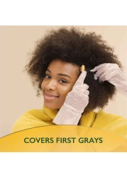 ويلا سوفت كولور ناتشورال إنستينكس صبغة الشعر 535 - بني أرابيكا