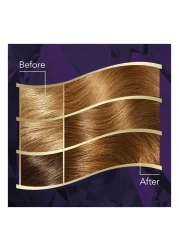 Wella Koleston Intense Hair Color 307/3 Hazelnut