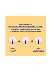 باراشوت أدفانسد زيت مغذي للشعر بالشيا و جوز الهند 300 ملل - ذهبي