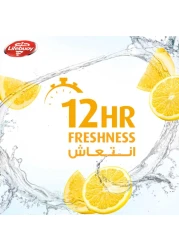 Lifebuoy Antibacterial Body Wash Lemon Fresh 300ml Pack of 2