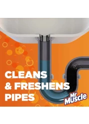 مستر ماسل جال منظف المصرف وحوض المطبخ 1 لتر