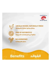 AL AIN CHICKEN FILLET 500G