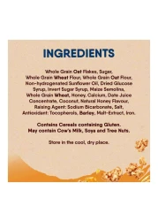 نستله فيتنس حبوب إفطار غرانولا بالشوكولاته 600 غرام