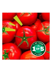 Dolmio Sauce for Bolognese Original 450g