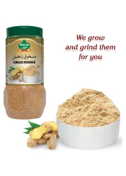Mehran Ginger Powder 80g