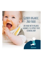 Gerber Organic Apple, Blueberry and Spinach Puree for Baby, 2nd Food, 99g, Pack of 6