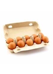 نيتشر فارم بيض عضوي 10قطع