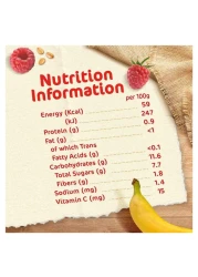Nestle Cerelac Fruits Puree Pouch, Raspberry, Pear, Banana and Oats, from 6 Months, 90g