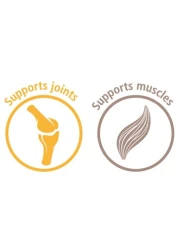 Mervue Elite Flex Forte &ndash; Advanced Joint &amp; Mobility Support for Dogs 150ml
