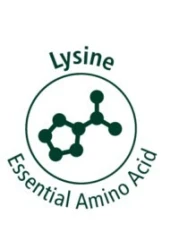 ميرفو ليسين 100 مكمل لدعم المناعة للقطط معزز للمناعة ومساعد لصحة الجهاز التنفسي معجون غني بالاكيناسيا 30 مل