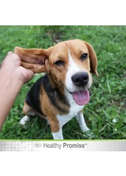 Four Paws Dog Ear Wash &ndash; Gentle Ear Cleaning &amp; Itch Relief for Dogs 118Ml
