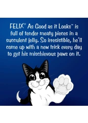 Purina Felix Sensations Jellies with Salmon and Tomato Flavours Cat Food, 85g Pack of 12