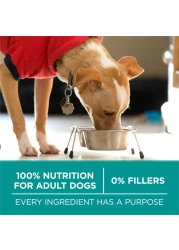 بورينا وان بلس تركيبة صحية للجهاز الهضمي، طعام للكلاب، 3.63 كغ