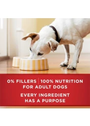 بورينا وان كلاسيك، لحم بقري مفروم وأرز بني، طعام للكلاب، 368 غرام