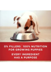 بورينا وان بلس كلاسيك، طعام كلاب صحي مفروم، لحم ضأن وأرز طويل الحبة، 368 غرام