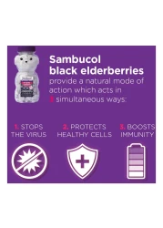 Sambucol Kids Chewable Teddies 60 Chewables