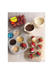 دريسكولز فراولة 454 غرام