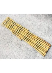 Egardenkart® Trellis Bamboo Plant Climbers (1, 90cm)