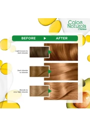 Garnier Color Naturals Creme Nourishing Permanent Hair Colour 7.3 Hazel Blonde