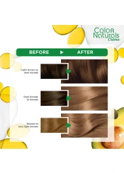 غارنييه كولور ناتشورالز كريم تلوين الشعر الدائم المغذي 7 _أشقر_ 110 ملل