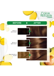 Garnier Colour Naturals Creme Nourishing Permanent Hair Colour 5.3 Light Golden Brown 110ml