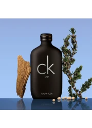 Calvin Klein CK Be For Men - Eau de Toilette