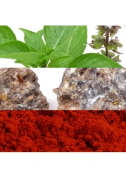 Davidoff Hot Water for Men - Eau de Toilette