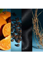 Calvin Klein Defy For Men - Eau de Parfum