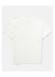 American Eagle AE Embroidered Graphic T-Shirt