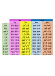 U.S. Polo Assn. بدلة برمودا صفراء ممتازة للفتيات