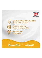 العين 10 قطع دجاج مشكلة مبردة 800 غرام