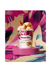 Haagen Dazs Macadamia Nut Brittle Ice Cream 460ml