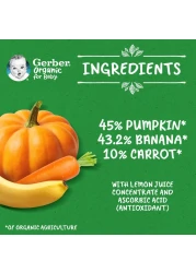 Gerber Organic with Pumpkin, Banana and Carrot, 90g