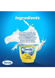 Danette Vanilla Dessert 90g Pack of 4