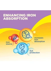 بيبيلاك نيوتري 7 في 1 المرحلة 2 قائم على حليب البقر للنمو من 6 إلى 12 شهرًا 800 غرام