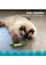 Petstages Fresh Breath Mint Stick Dental Cat Chew Toy