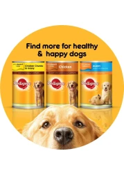 بيديغري طعام رطب رغيف دجاج للكلاب ، 400 غرام