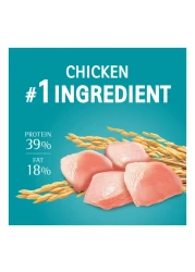 بورينا ون فيزيبل طعام القطط للتحكم في كرات الشعر بالدجاج للقطط بعمر سنة فما فوق 1.2 كغ