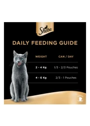 Sheba Tuna with Pumpkin and Carrot Flavour in Gravy Fine Food for Cats, 12 Months and above, 70g Pack of 12